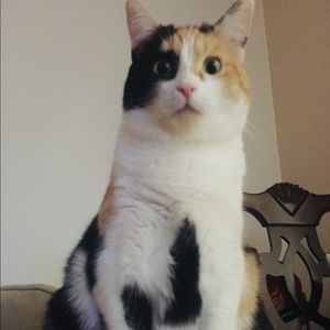 Meet your Posher, Omar